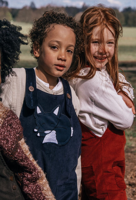 Boys and Girls Dungarees - Stylish Fox Blue